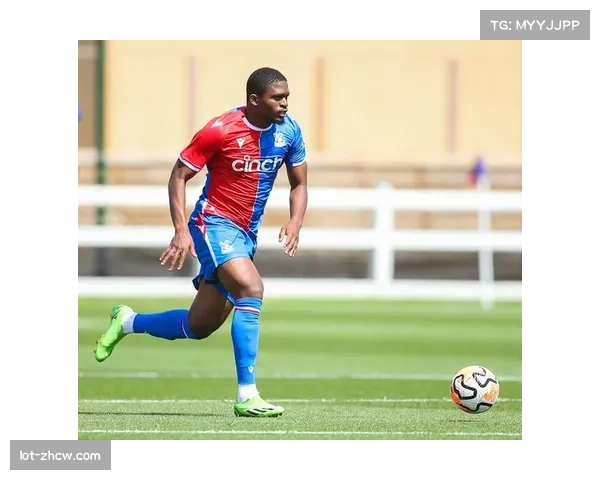 水晶宫成赛季进步最大球队 前11轮积分同比多10分